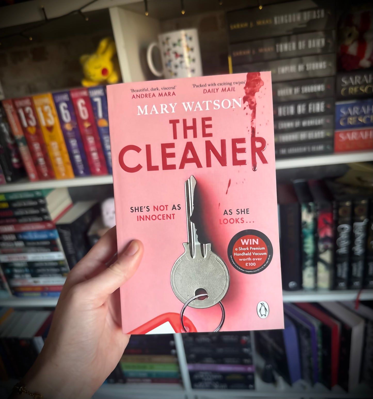 The Cleaner by Mary Watson
