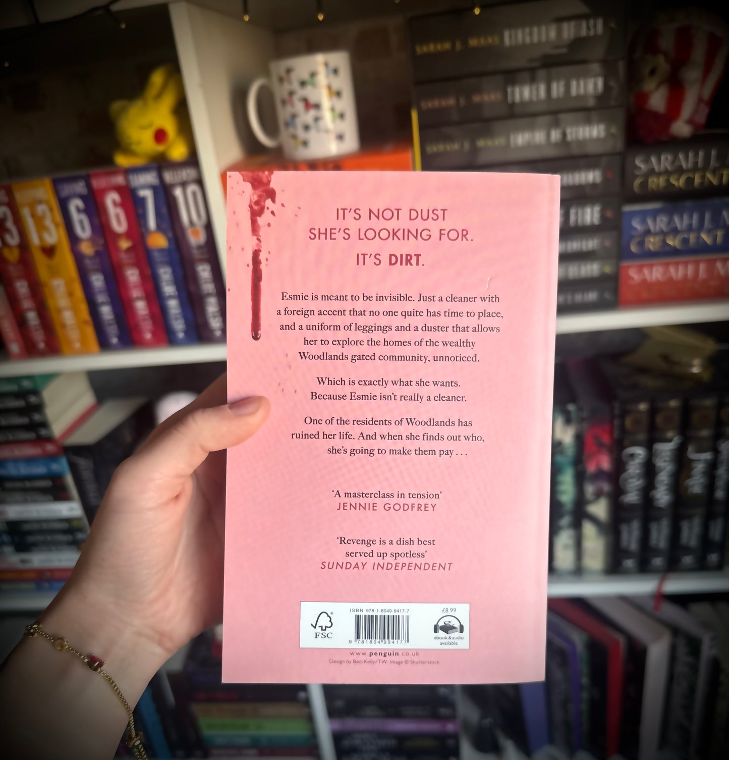 The Cleaner by Mary Watson